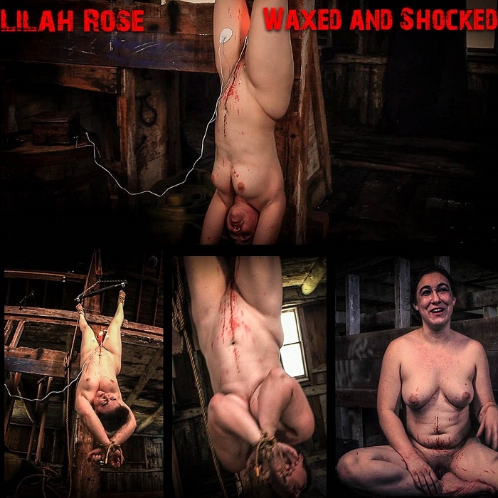 [BrutalMaster.com] Lilah Rose Waxed and Shocked / 01.06.2020 [2020 г., BDSM, Humiliation, Torture, Whipping, 1080p]