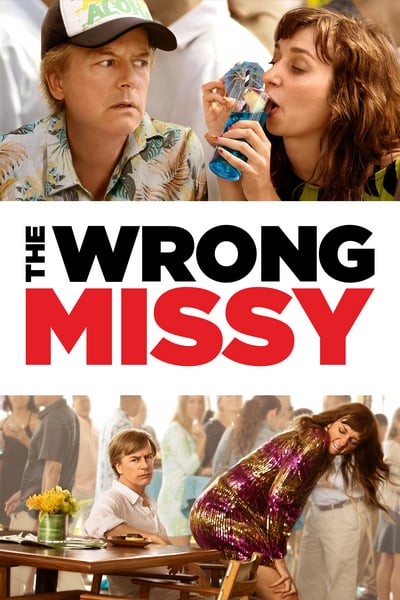 The Wrong Missy 2020 720p NF WEBRip X264 AAC 2 0-EVO