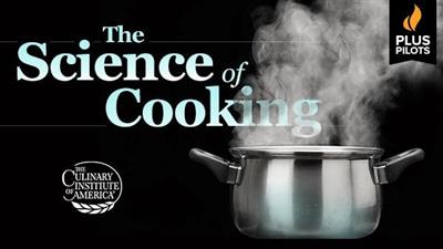 TTC Pilot   The Science of Cooking
