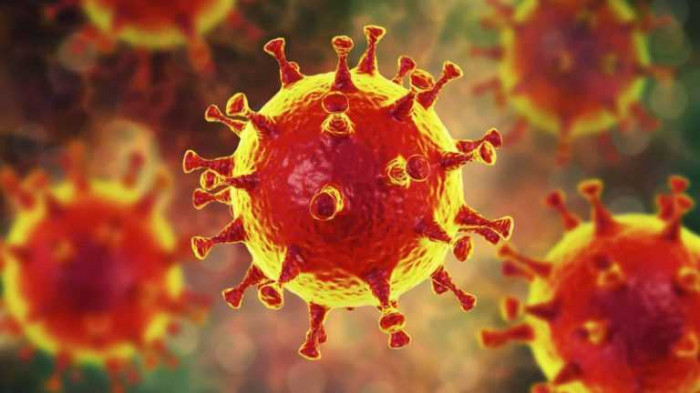 5 странных конспирологических теорий появления коронавируса [Обзор / В мире]
