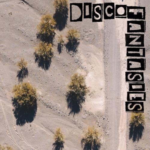 Gianbattista Vigani, Dortemise - Disco Fantasies (feat. Filos, Fabrizio Pendesini) (2020)
