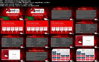 RedHat Linux  Essentials A3908ad2c62f2b9328e0f18c031970a6