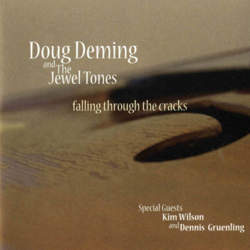 Doug Deming and The Jewel Tones - Falling Through The Cracks (2009) [lossless]