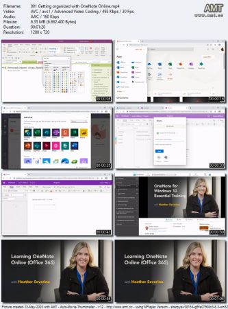 Learning OneNote Online (Office 365) (2020)