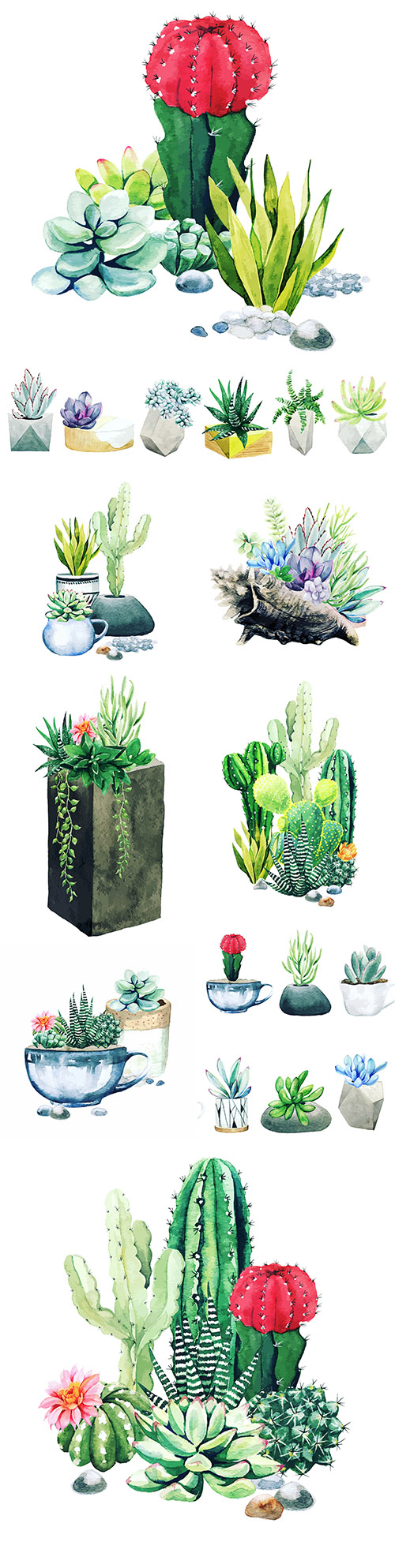 Cacti and succulents composition from potted watercolor plants

