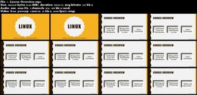 Learn Linux Command Line - Build Your Confidence on  Linux! Bafa41a936c8c156bfc978b2ab017d48
