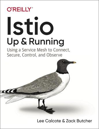 Istio: Up and Running: Using a Service Mesh to Connect, Secure, Control, and Observe (First Edition)