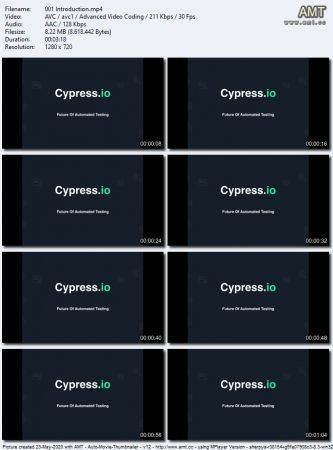 Automated Software Testing with Cypress  [2020] 4d822a288220388031df1880e92bb595