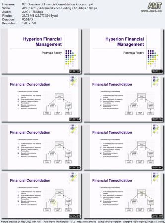Hyperion Financial Management Advanced Course