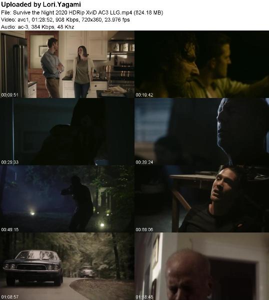 Survive the Night 2020 HDRip XviD AC3 LLG
