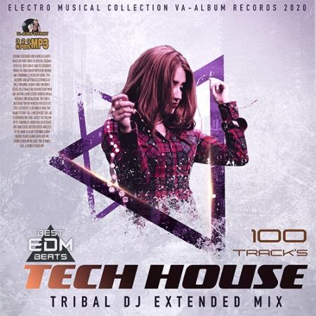 Tribal DJ Tech House (2020)