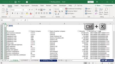 Beginner to Pro in Excel Financial Modeling and Valuation  (2020) 5fbe14333b2847762a8919195495ca76
