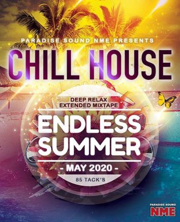 Endless Summer: Chill House Electro Mix (2020)