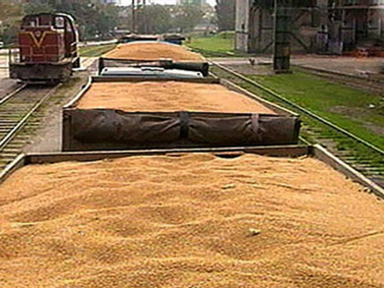 Из Госрезерва "таинственно" пропали 150 тысяч тонн зерна на 800 миллионов гривен