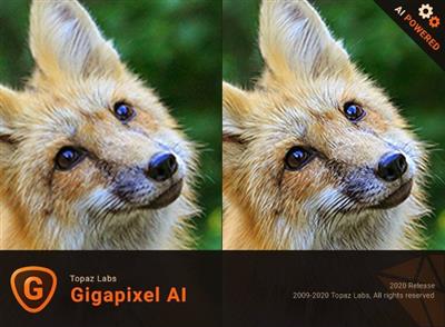 Topaz Gigapixel AI 4.9.3.2 (x64)
