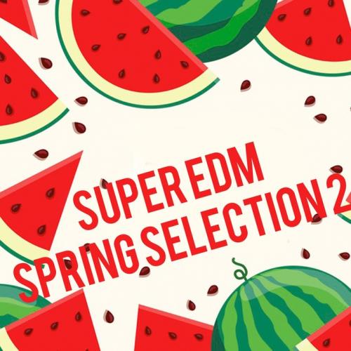 Super Edm Spring Selection 2 (2020)