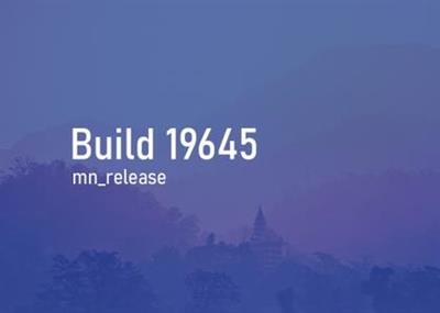 Windows 10 Insider Preview (20H2) Build 19645.1