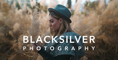 ThemeForest - Blacksilver v4.1 - Photography Theme for WordPress - 23717875 - NULLED