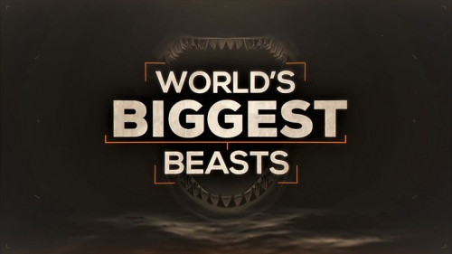 Smithsonian Ch. - Worlds Biggest Beasts (2015)