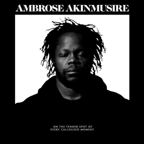 Ambrose Akinmusire - On The Tender Spot Of Every Calloused Moment (2020)