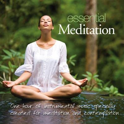 Essential Meditation by Patrick Kelly  (2010)