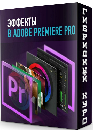 Эффекты Adobe Premiere Pro - Гибридный курс (2020) PCRec