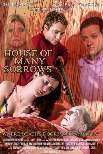 House of Many Sorrows 2020 WEBRip XviD MP3-XVID