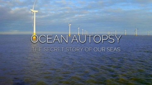 BBC - Ocean Autopsy The Secret Story of Our Seas (2020)