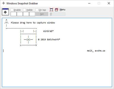 Windows Snapshot Grabber 2020.12.620.2769