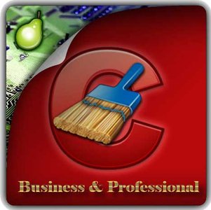 CCleaner Professional  Business  Technician 5.68.7820 Multilingual Portable