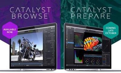 Sony Catalyst Browse Suite 2019.2.2