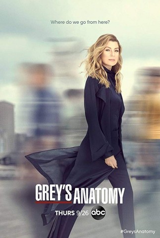 Greys Anatomy S16E10 German Dl Dubbed 1080p Webrip x264-Aida