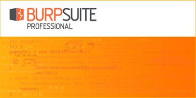 Burp Suite Professional 2020.5.1 Build 2921