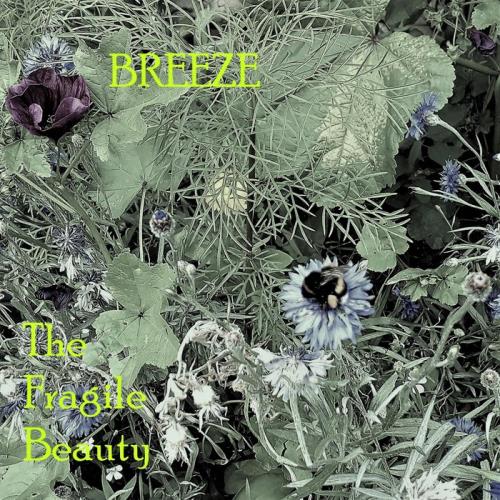 BREEZE - The Fragile Beauty (2020)