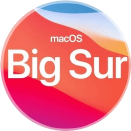 macOS Big Sur 11.0 beta (20A4299v) [MAS]