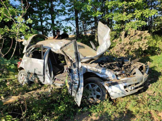 Смертельное ДТП в Запорожской области: автомобиль слетел в кювет и врезался в дерево