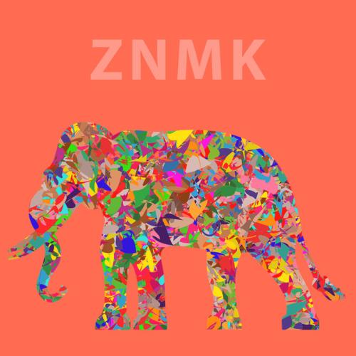 ZNMK - Fotuner (2020)