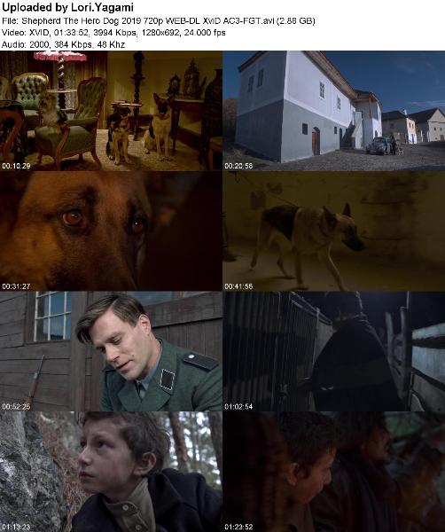 Shepherd The Hero Dog 2019 720p WEB-DL XviD AC3-FGT