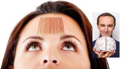 Marketing and Manipulation: The Neuroscience of Shopping