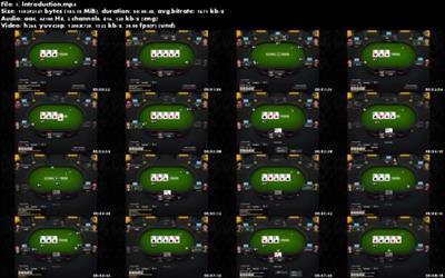How to Play No Limit Texas Hold Em Poker For  Beginners 5fcfa88c69c33ebef5051cc9c1f360d3