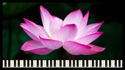 How to Compose Relaxing  Music A03f81e694c50a296811add4f62a25e9