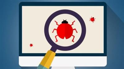 Web Application Hacking /Penetration Testing & Bug Bounty