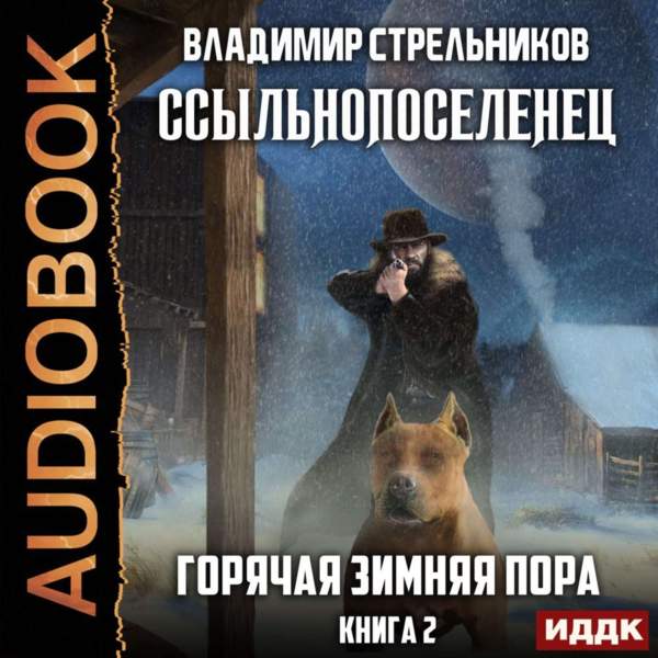 Владимир Стрельников - Горячая зимняя пора (Аудиокнига)