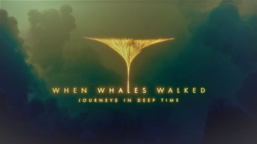 Smithsonian Ch. - When Whales Walked Journeys in Deep Time (2019)
