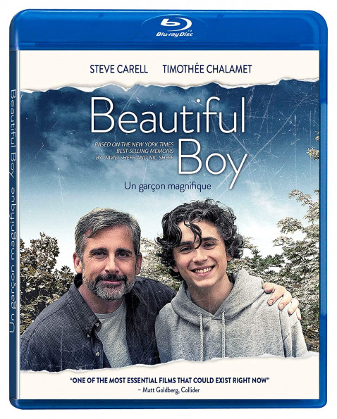 Beautiful Boy 2018 1080p BluRay x265-RARBG