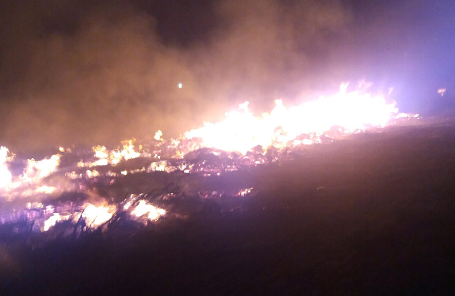 Вісті з Полтави - У Полтаві рятувальники три години гасили пожежу сухого гілля