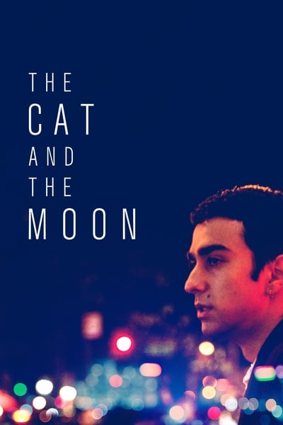 The Cat And The Moon 2019 DVDRip x264-RedBlade