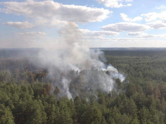 Спасателям удалось локализовать масштабный пожар на Луганщине