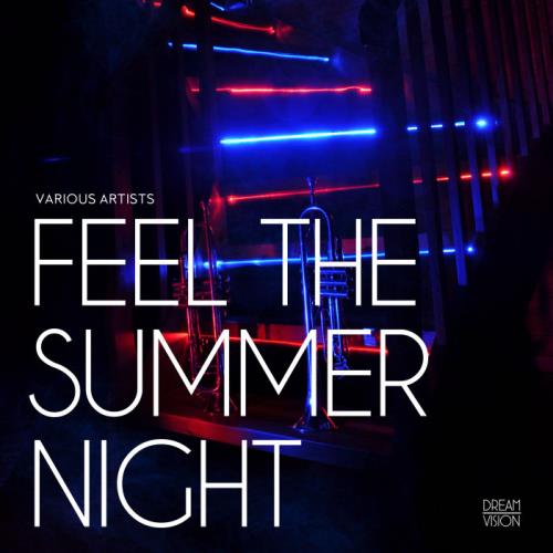 DREAM VISION - Feel The Summer Night (2020)