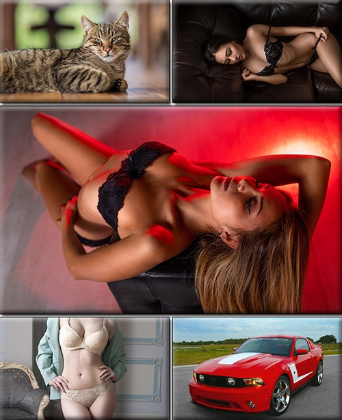 LIFEstyle News MiXture Images. Wallpapers Part (1692)